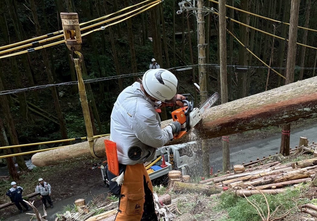 チェーンソーによる倒木の伐採作業